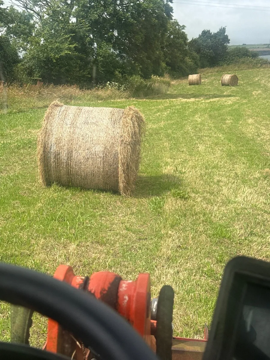 Hay - Image 1