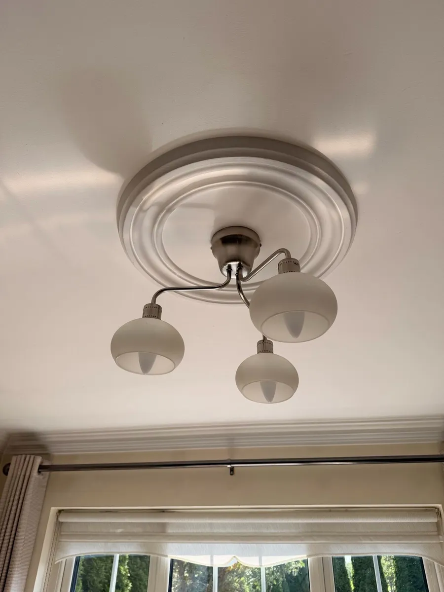 Ceiling and Pendant lights for sale! - Image 4