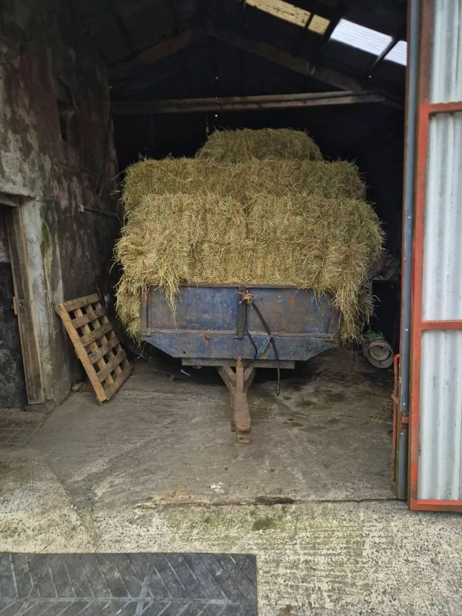 Hay - Image 1