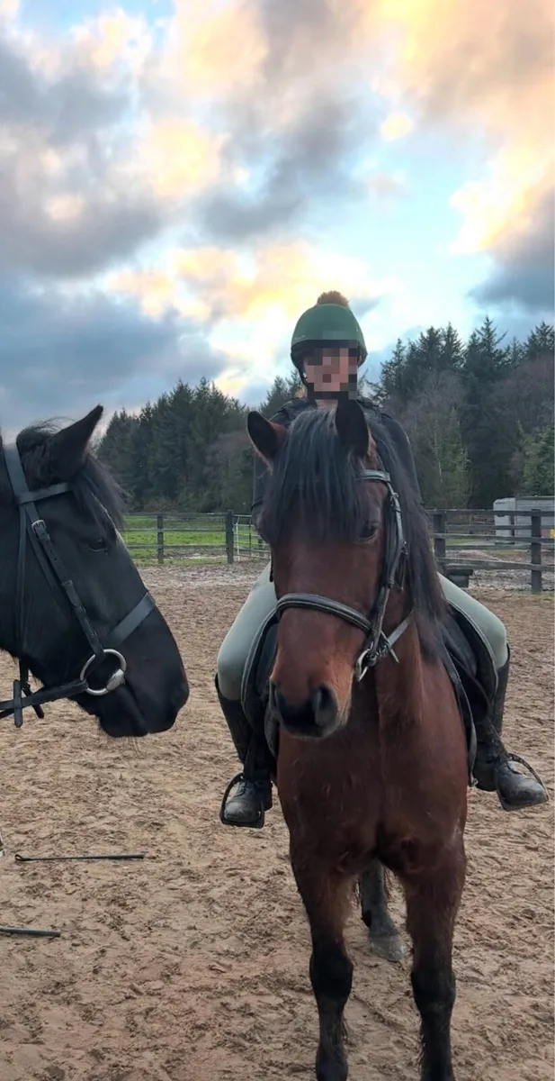 🐴Woody🐴 - Image 1