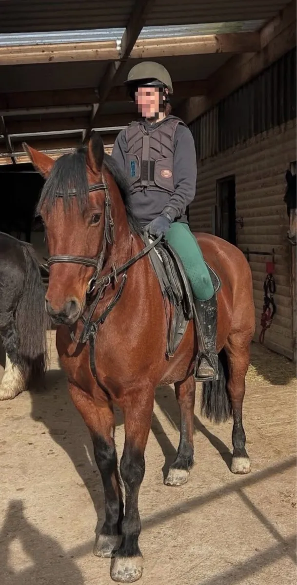 🐴Woody🐴 - Image 2