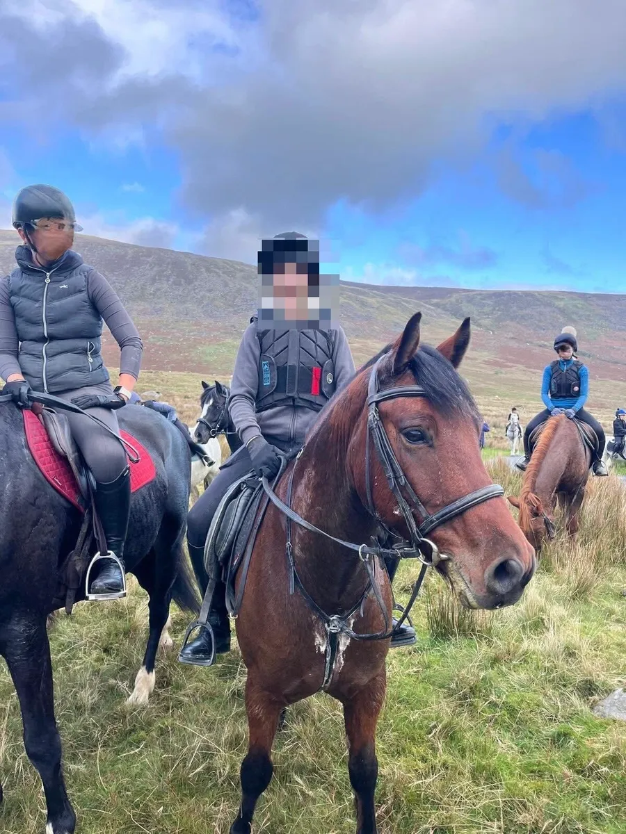 🐴Woody🐴 - Image 4