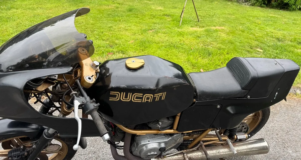 Ducati Pantah 500 1982 - Image 4