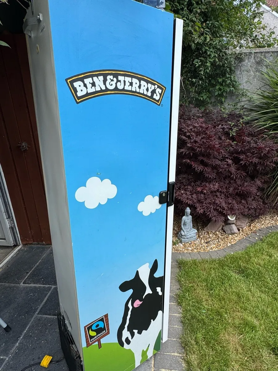Ben & Jerry freezer - Image 4