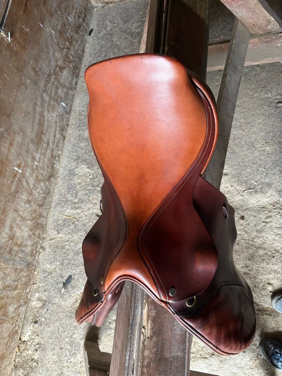 17.5” Jaguar Harry Dabbs Showjumping Saddle - Image 2
