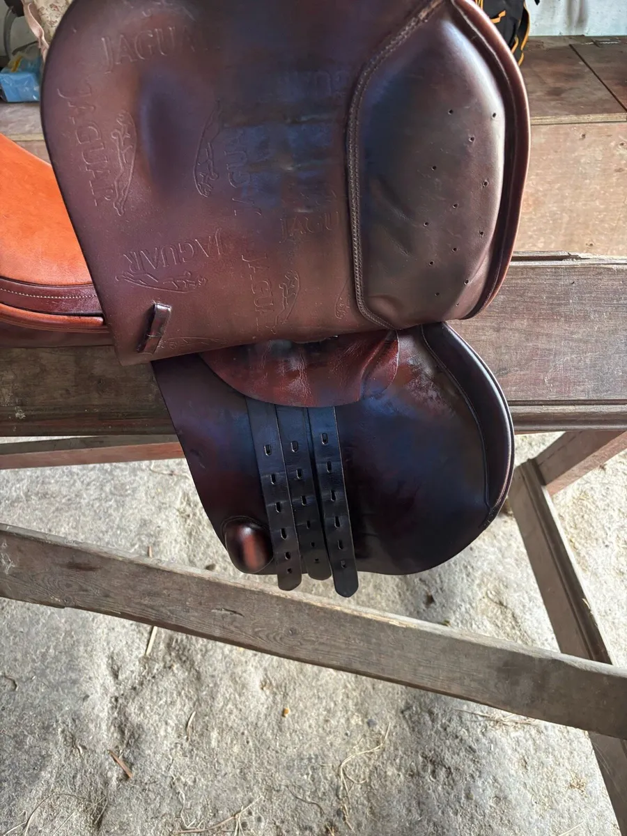 17.5” Jaguar Harry Dabbs Showjumping Saddle - Image 4