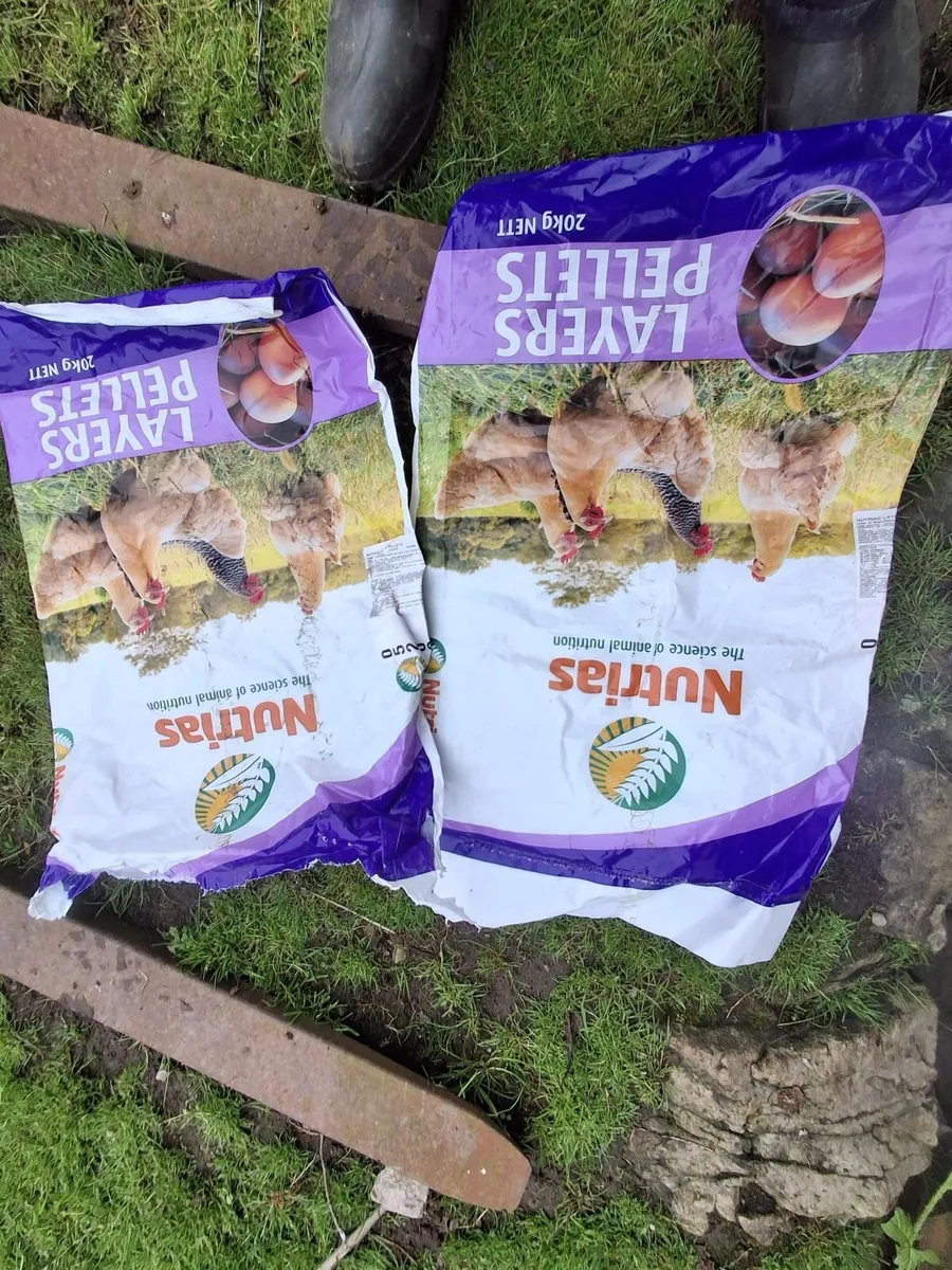 Turf bags for sale - Image 1