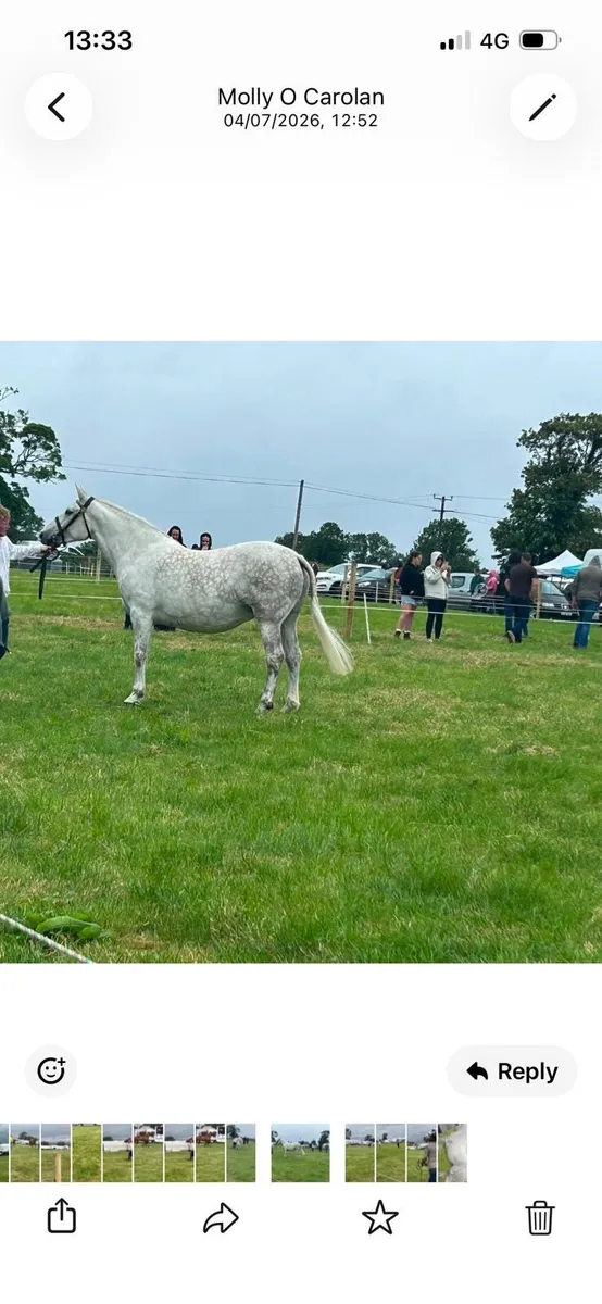 ID Mare - Image 1