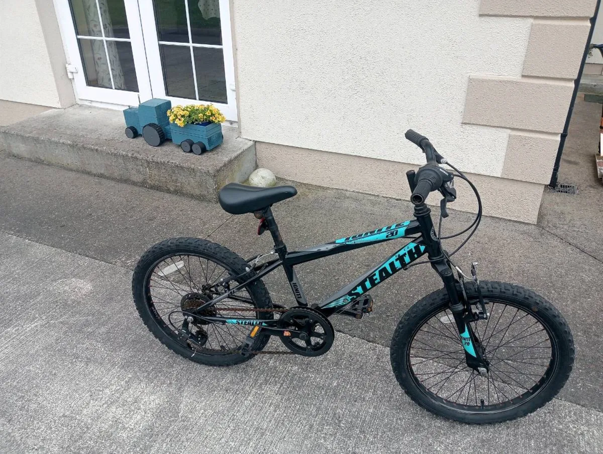 Mountain bike - Image 1