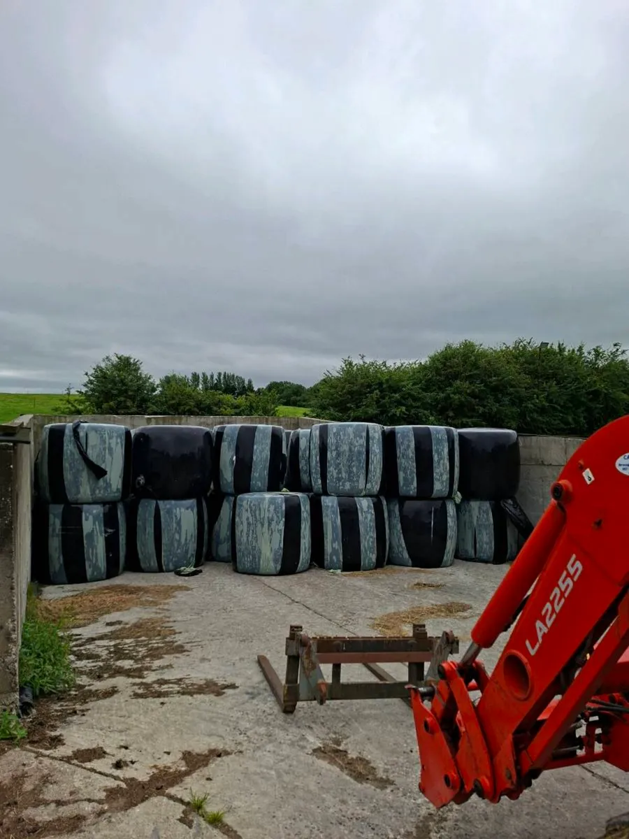 Silage bales - Image 1