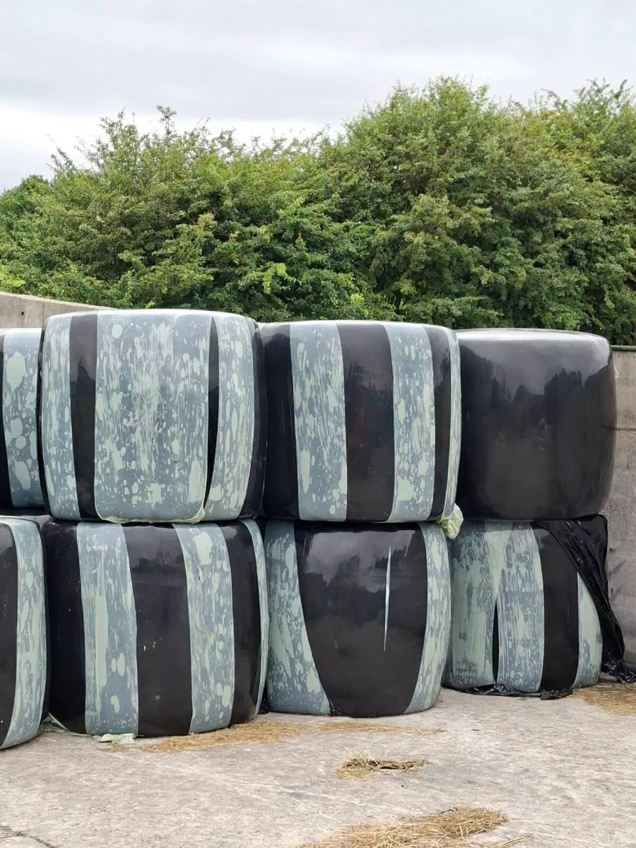 Silage bales - Image 3