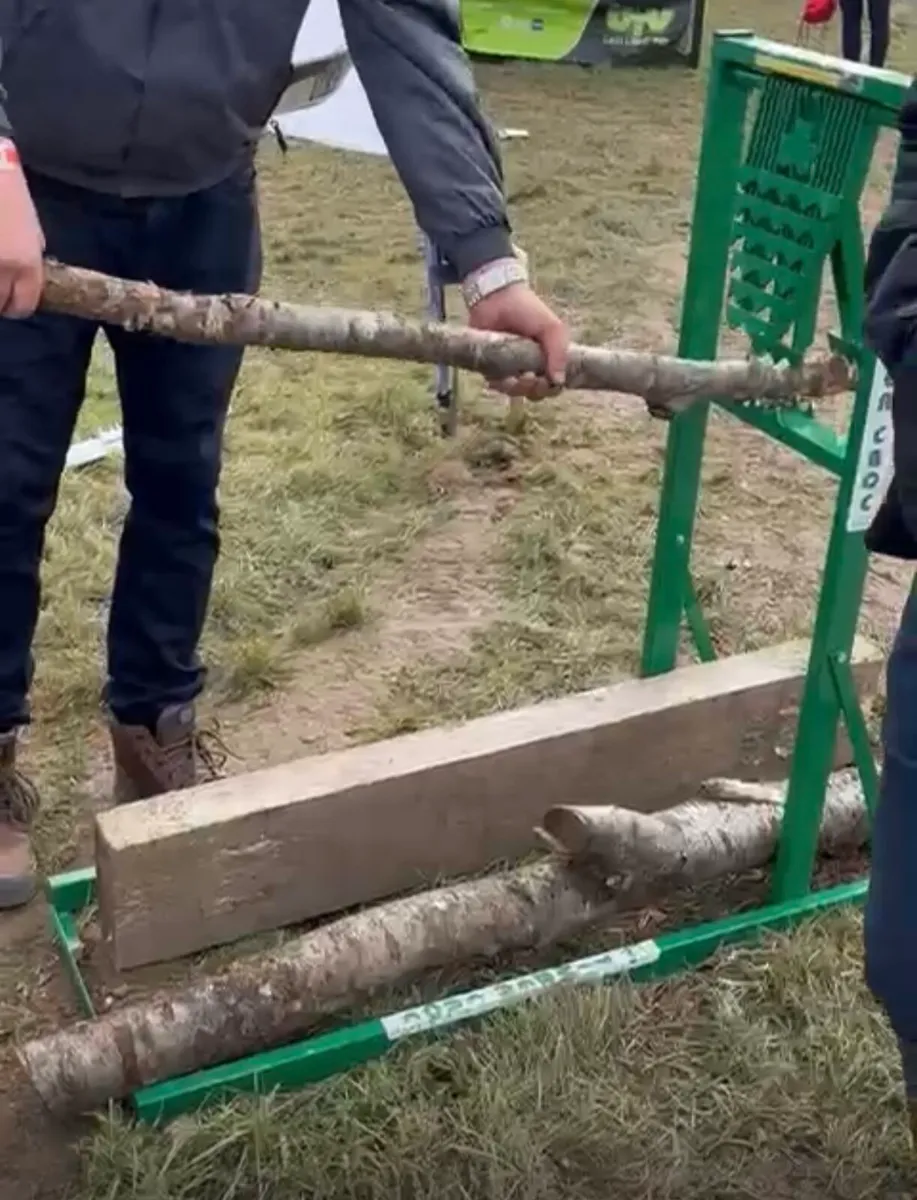 Timber Croc - Image 1