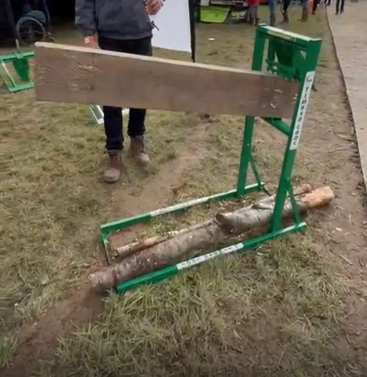 Timber Croc - Image 2