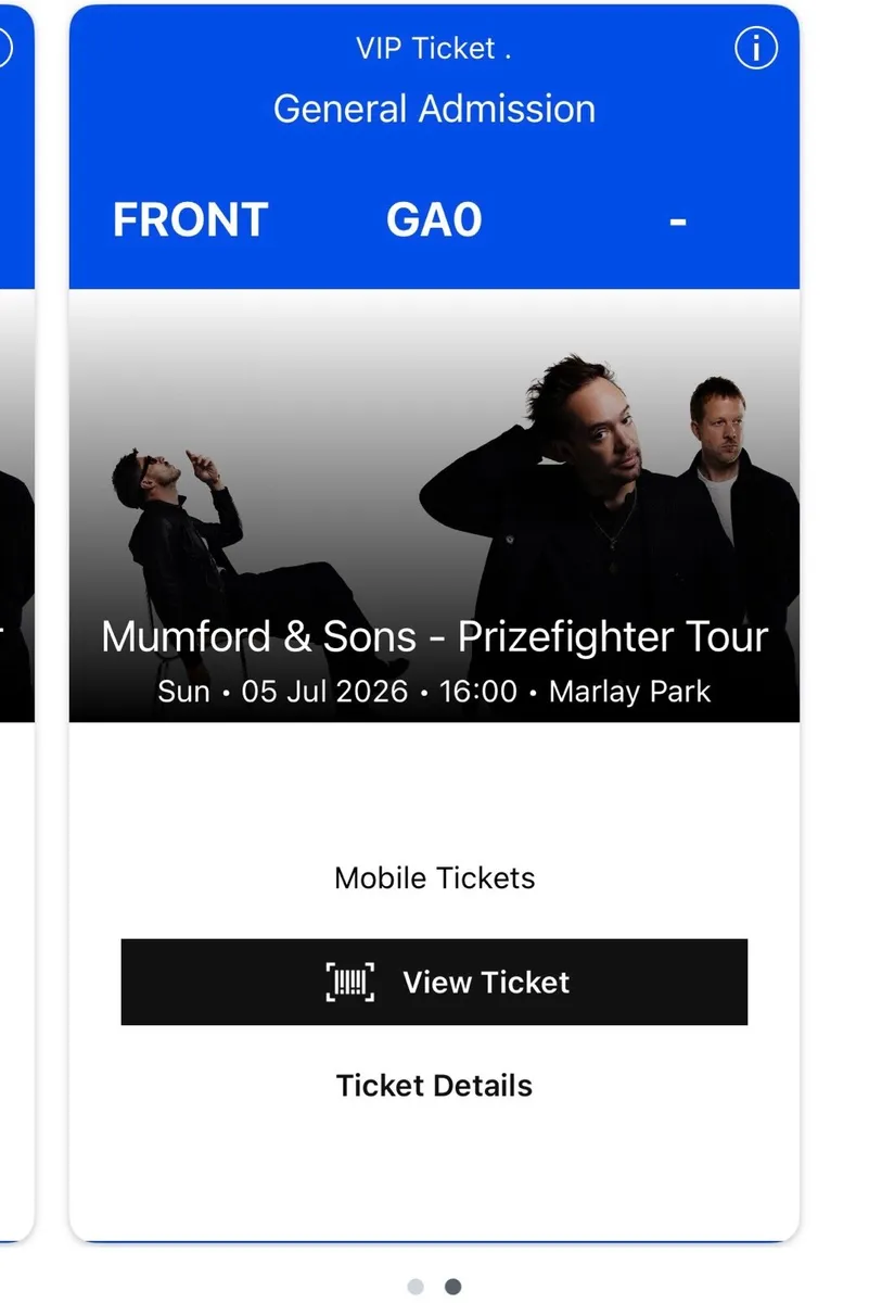 Mumford and Sons VIP x2