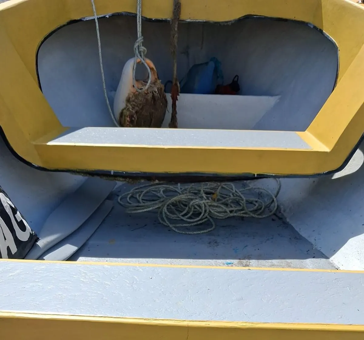 Sullivan Marine boat and engine *open to offers* - Image 3
