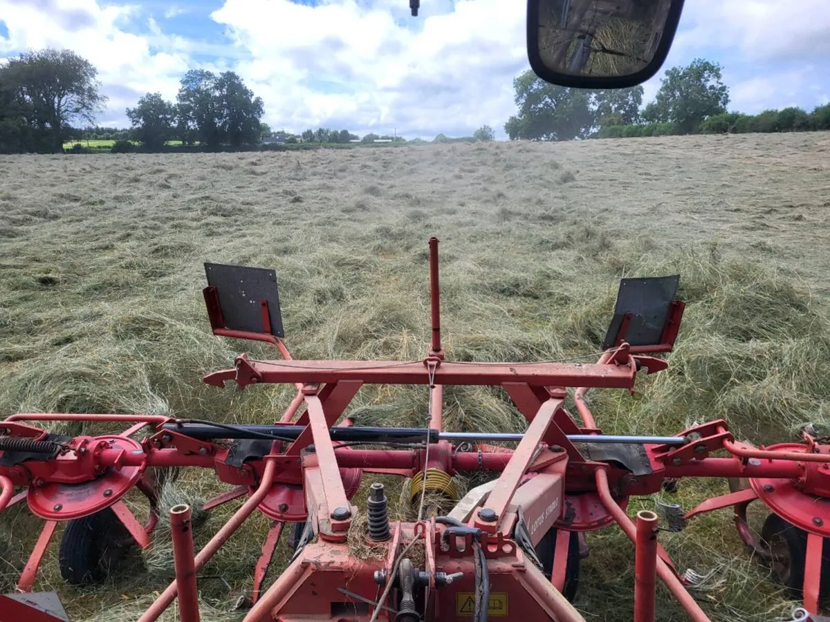 Hay for sale - Image 3