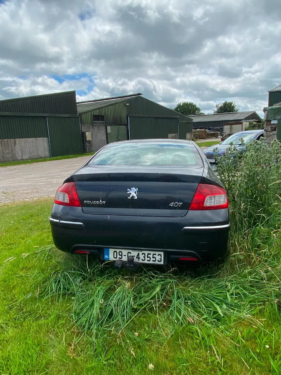 2009 Peugeot 407 - Image 2
