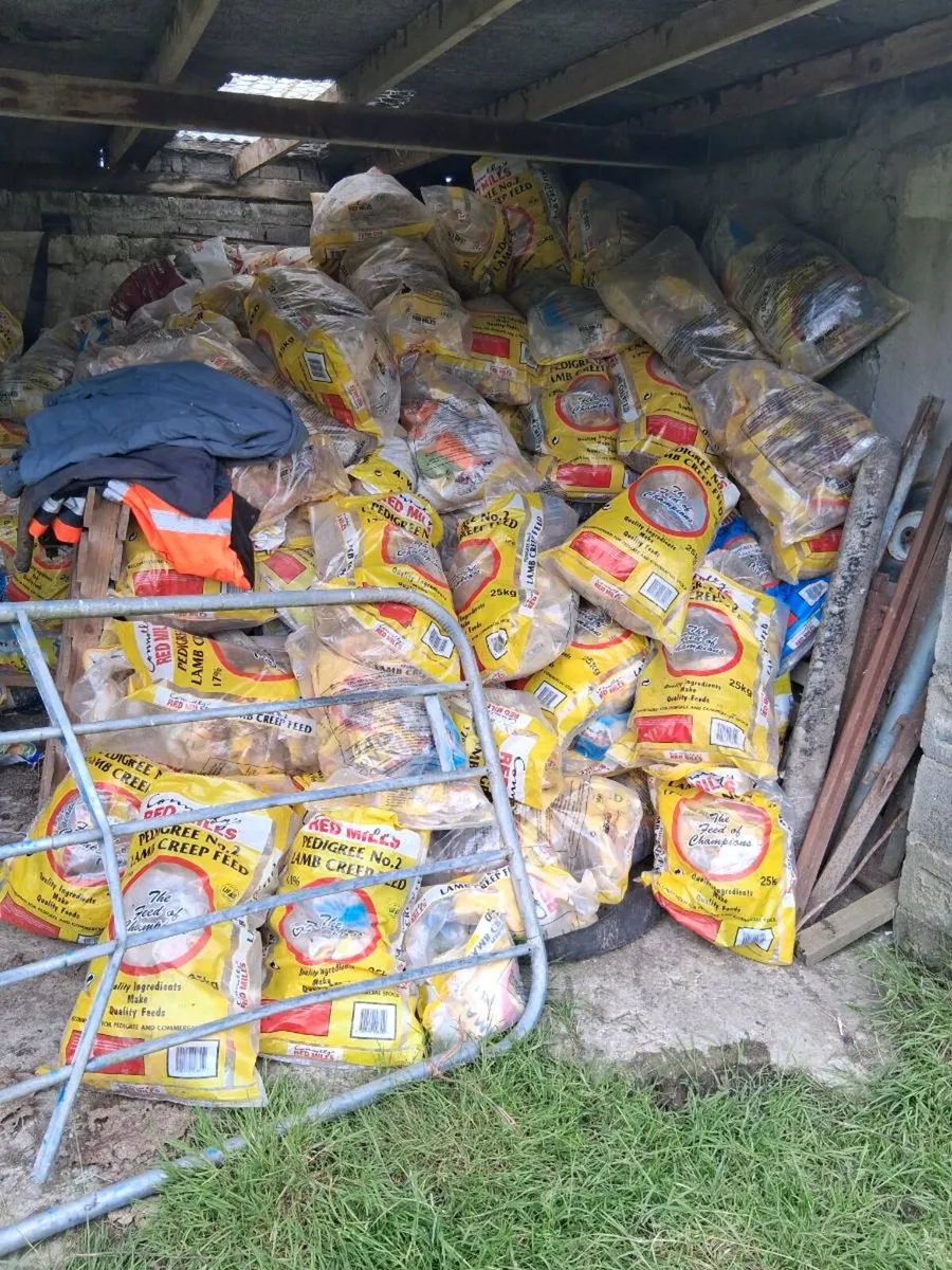 FREE MEAL BAGS