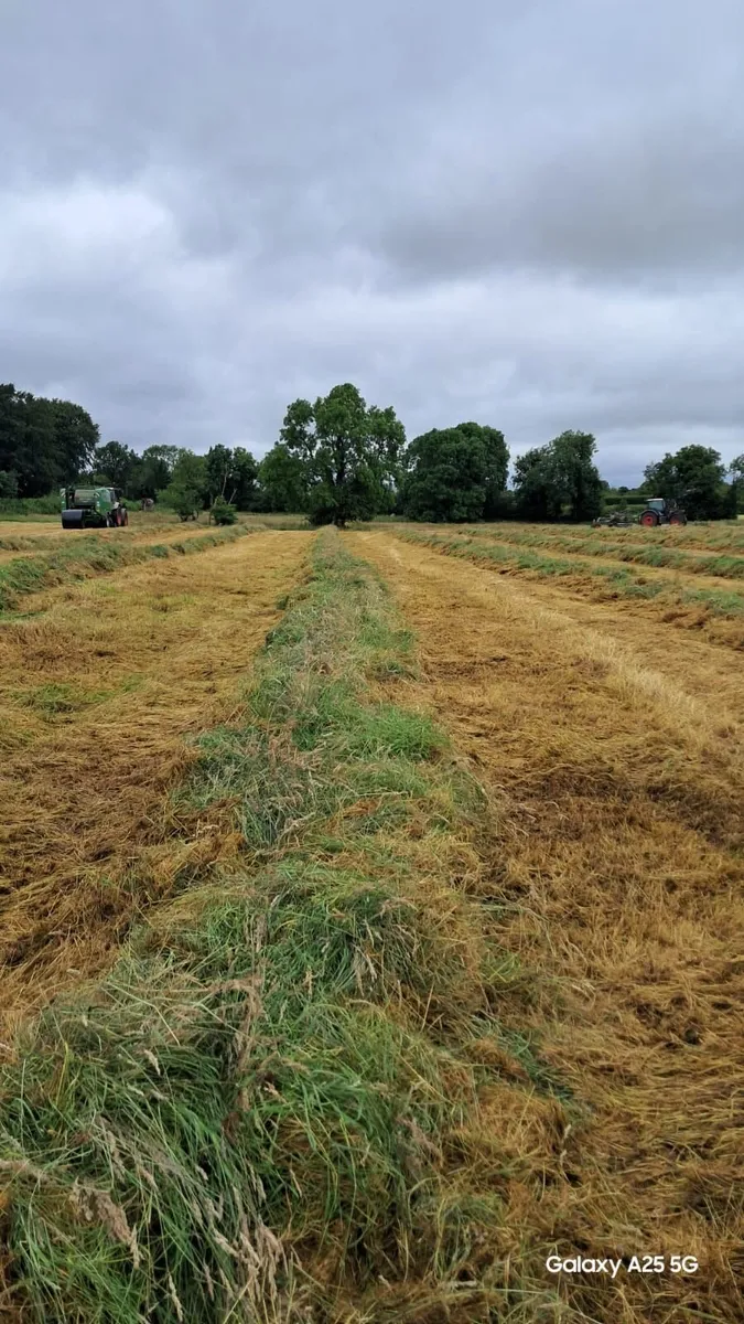 92 Silage Bales - Image 3