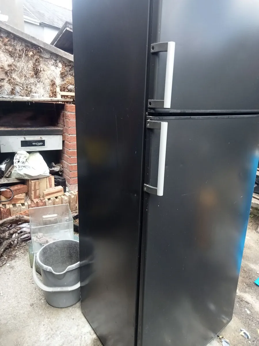 Fridge freezer - Image 1