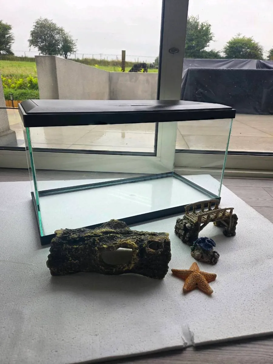 Fish Tank - Image 1