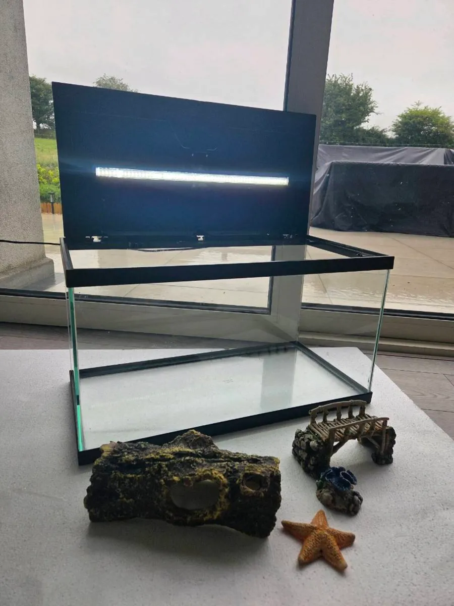 Fish Tank - Image 2