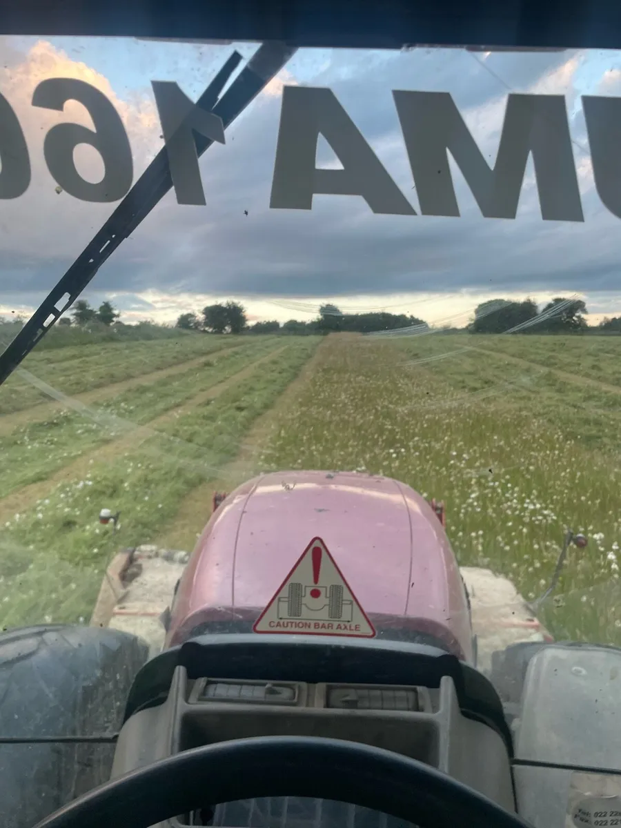 Top quality hay 2026 June - Image 4