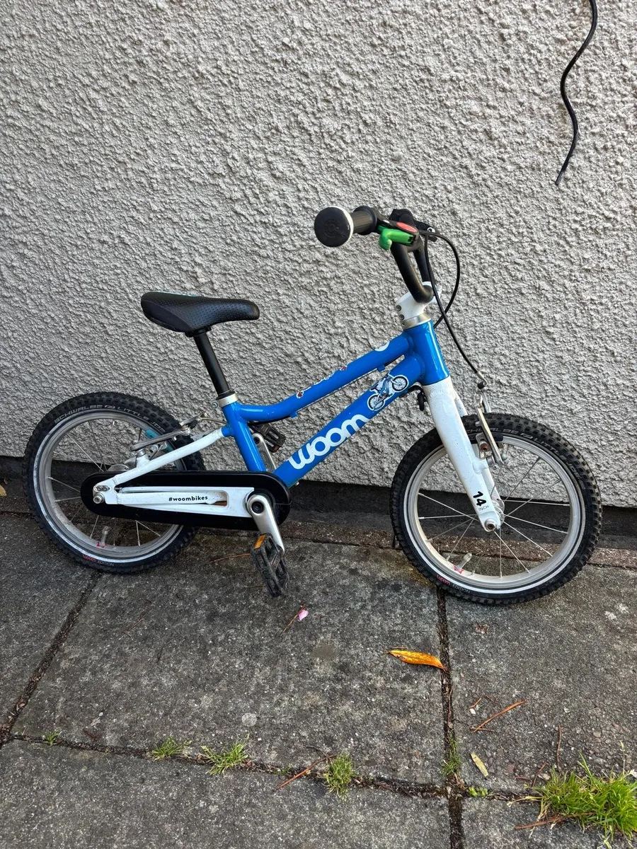 Bikes and helmets - read description for prices - Image 1