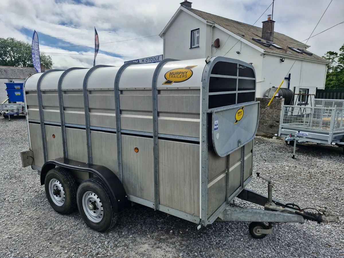 MURPHY  12' x 6'  CATTLE TRAILER - Image 1