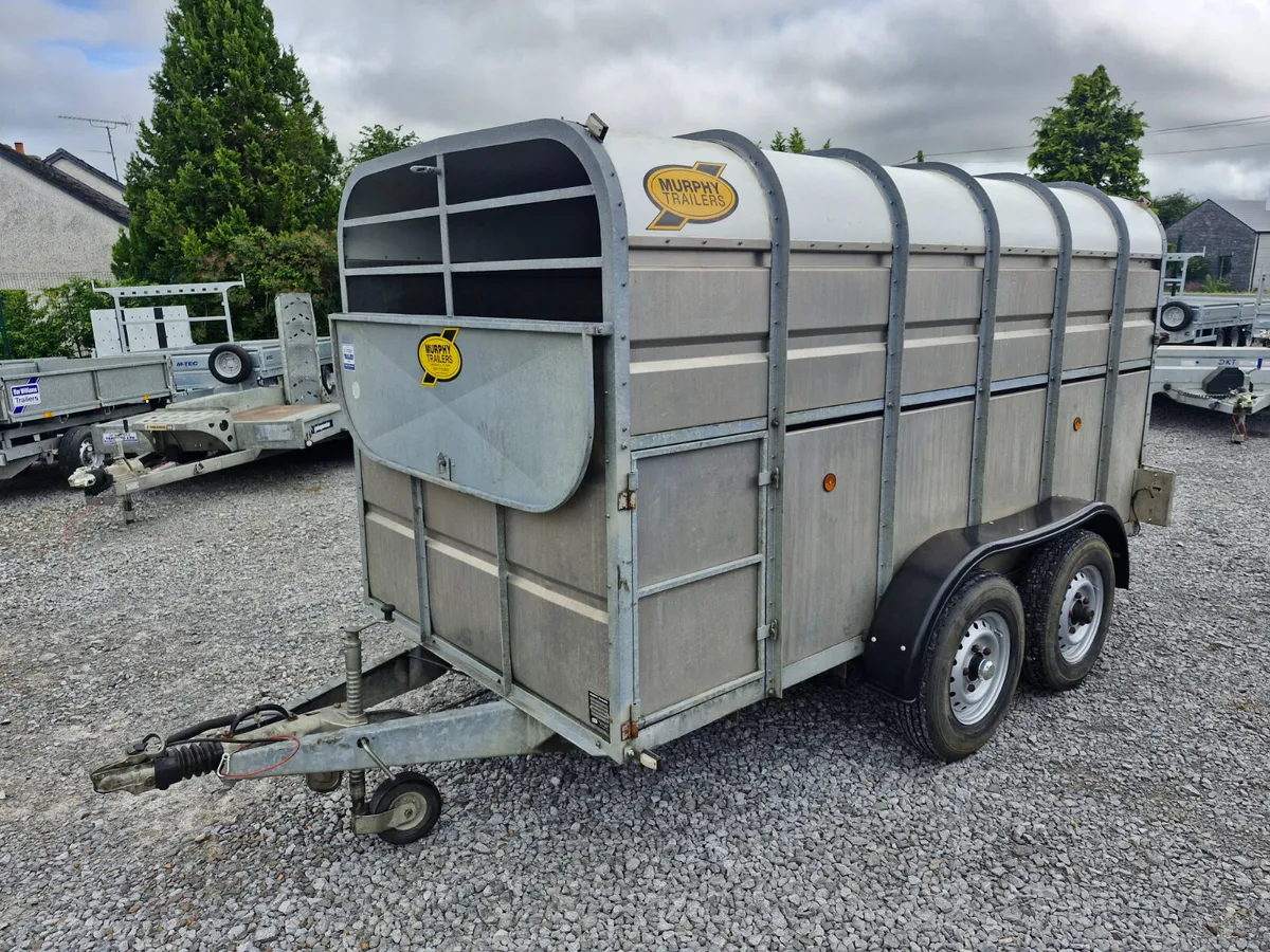 MURPHY  12' x 6'  CATTLE TRAILER - Image 2