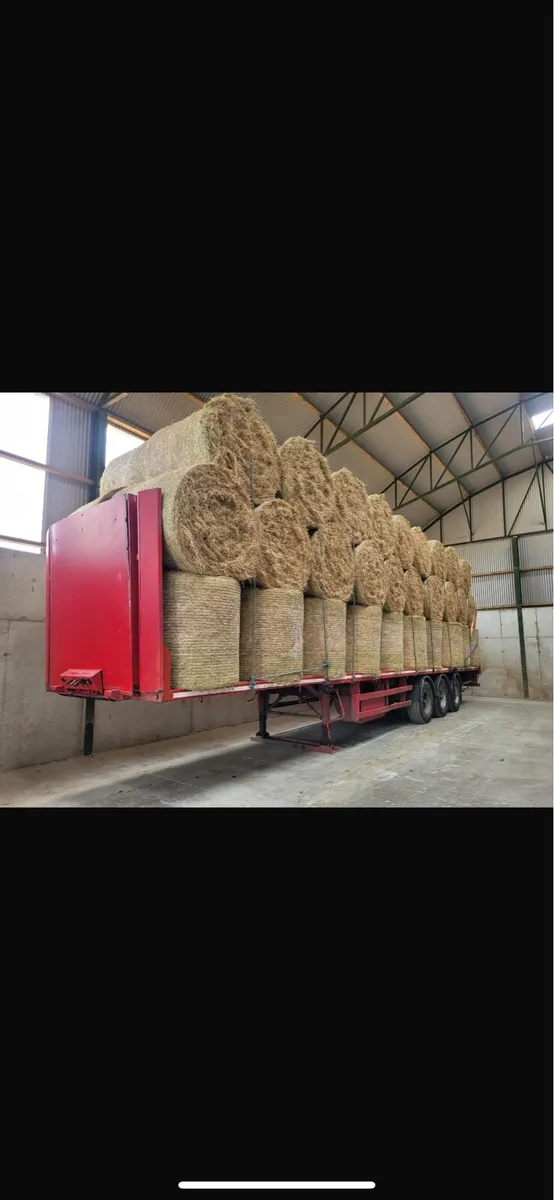 Hay