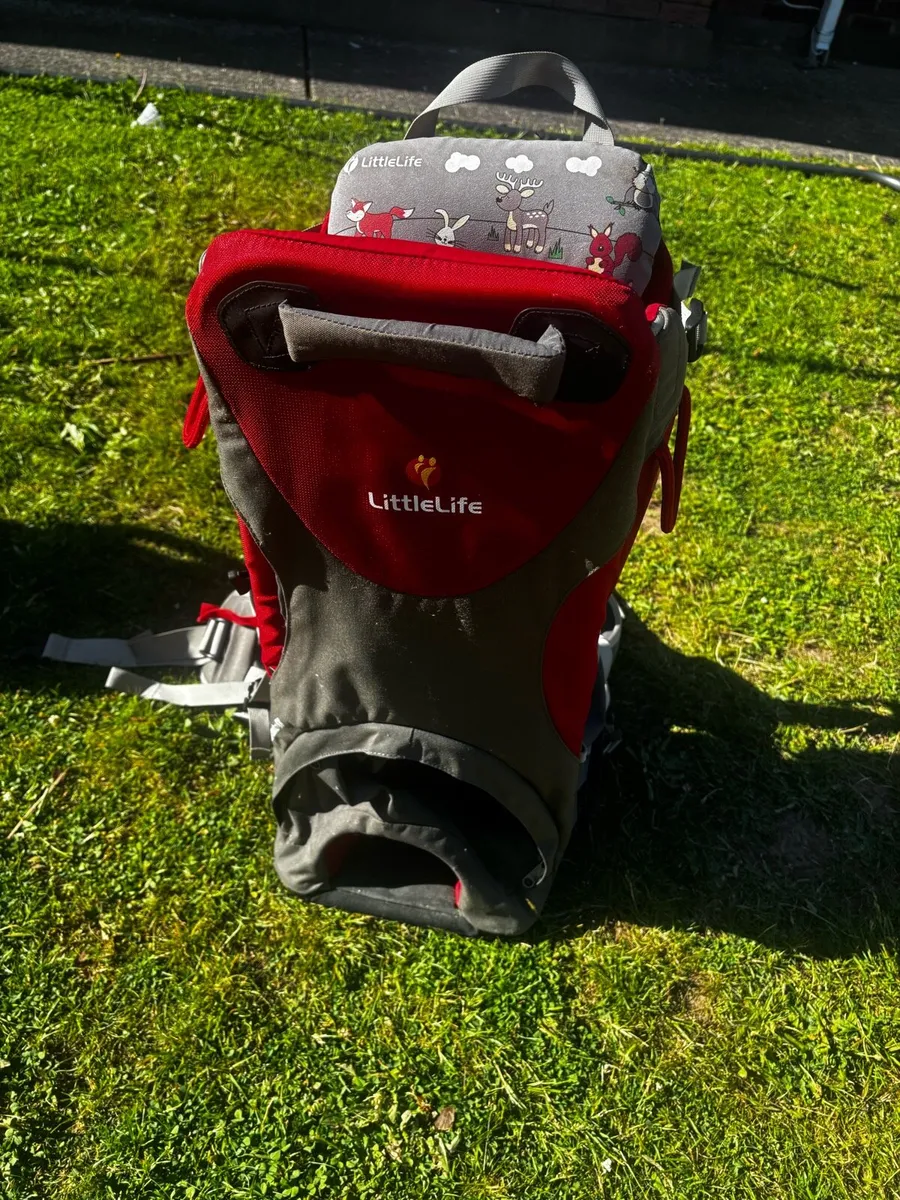 LittleLife Child Carrier