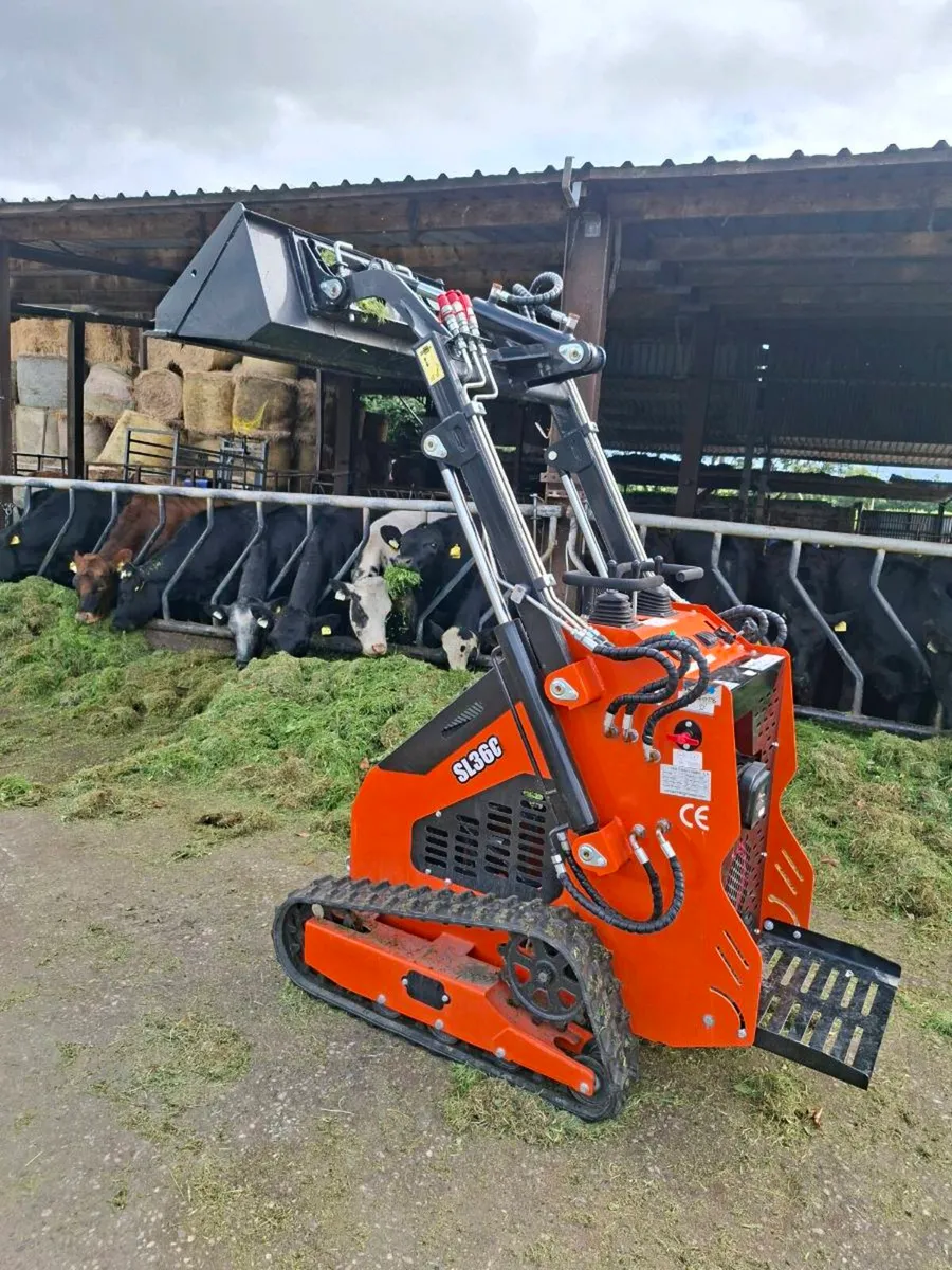 DIESEL SKID STEER NEW - Image 1
