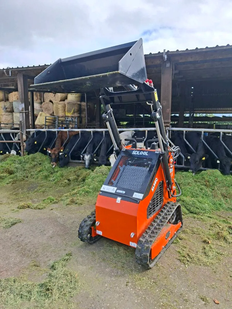 DIESEL SKID STEER NEW - Image 2