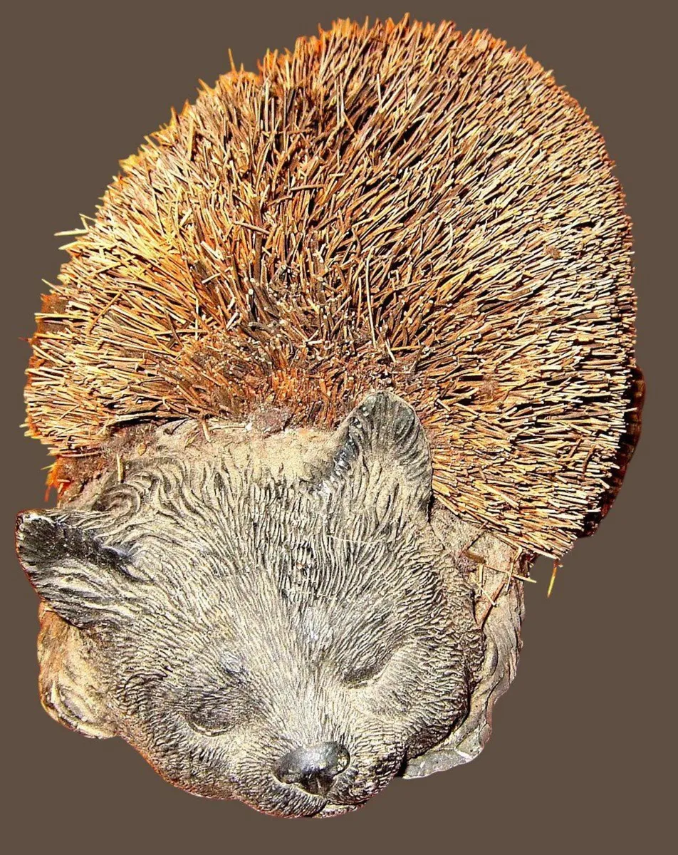 Vintage Boot Scraper/Shoe Brush - Image 1