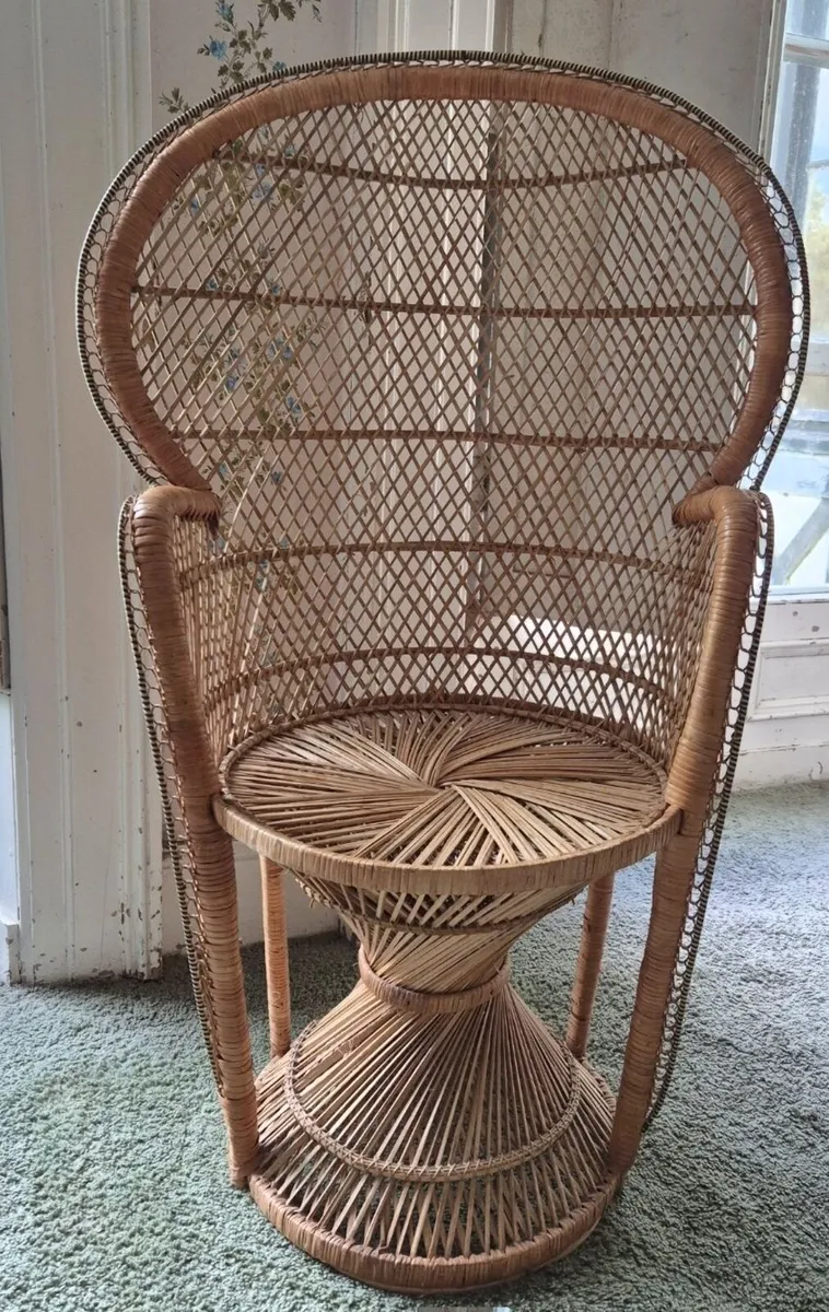Peacock Chair - Image 1
