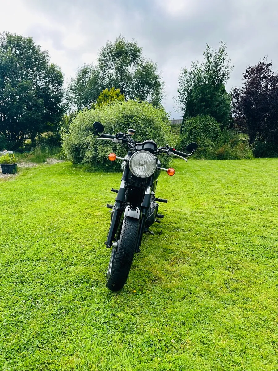 Triumph Bonneville Newchurch - Image 3