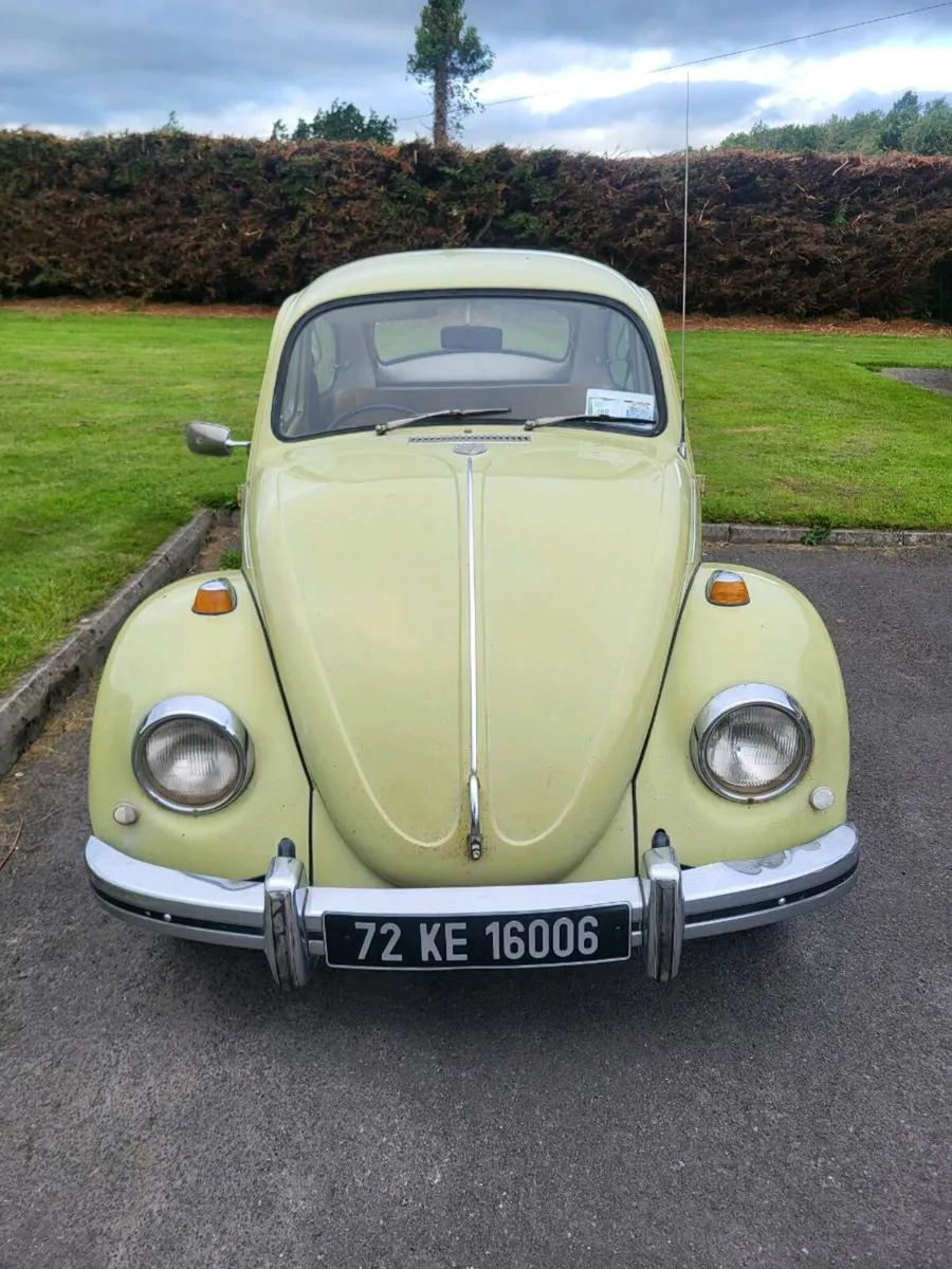 VW Beetle - Image 1
