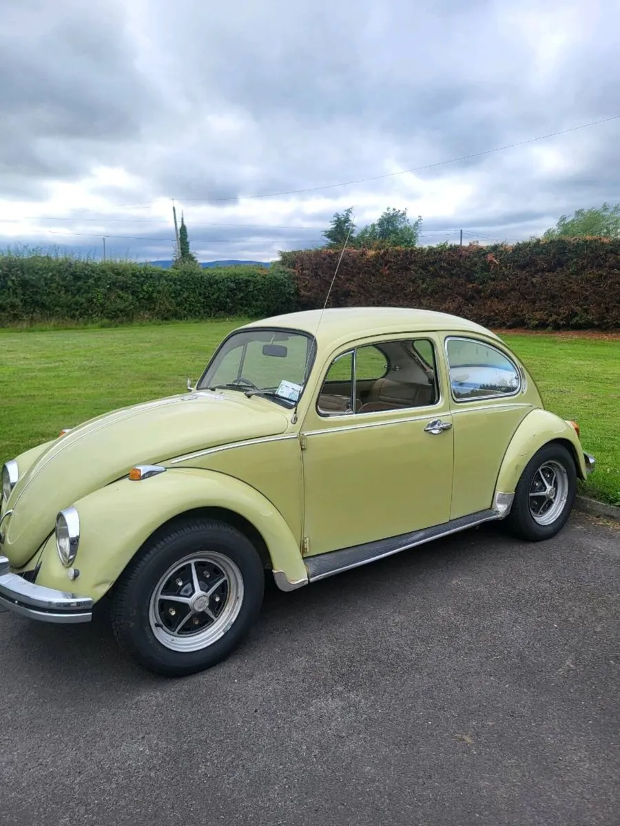 VW Beetle - Image 2