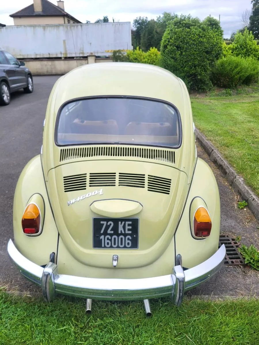VW Beetle - Image 3