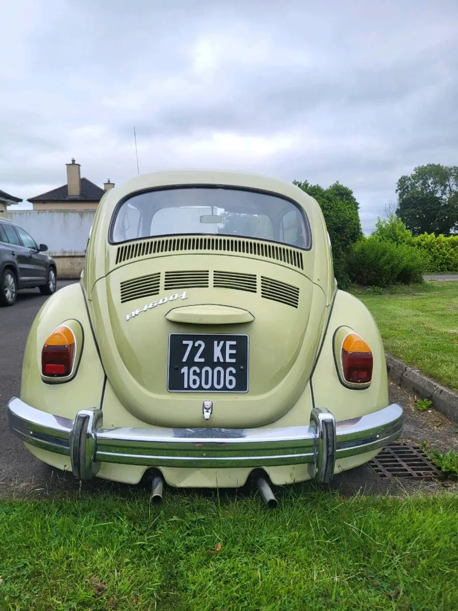 VW Beetle - Image 4