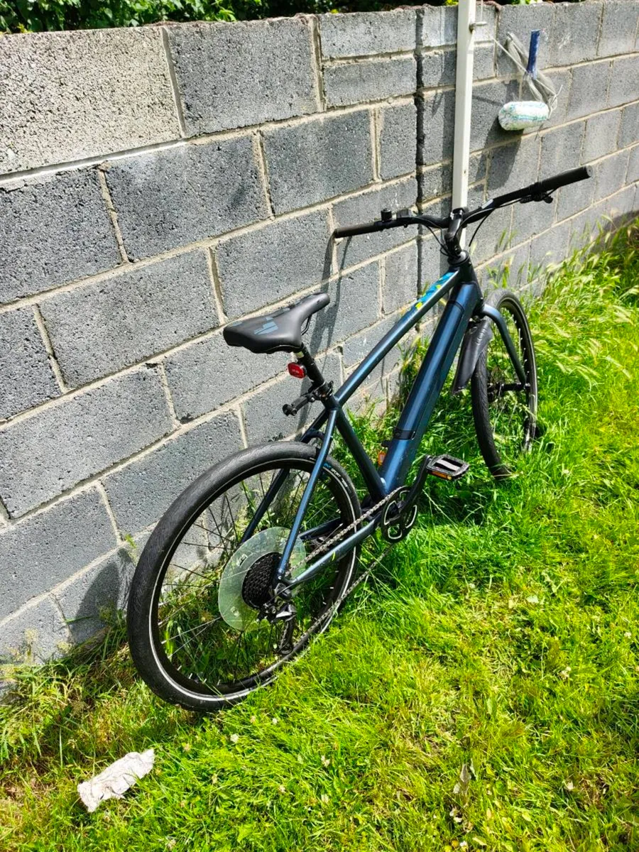 Electric Bicycle - Image 2