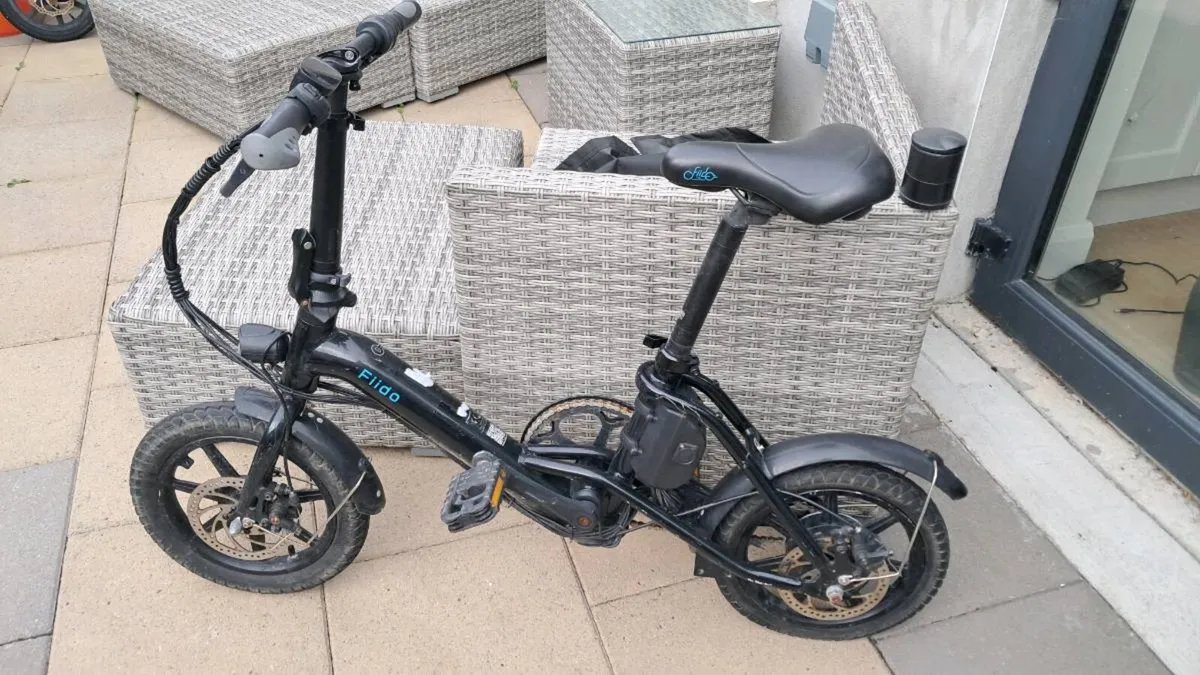Fiido D3 Pro Electric bike - Image 1