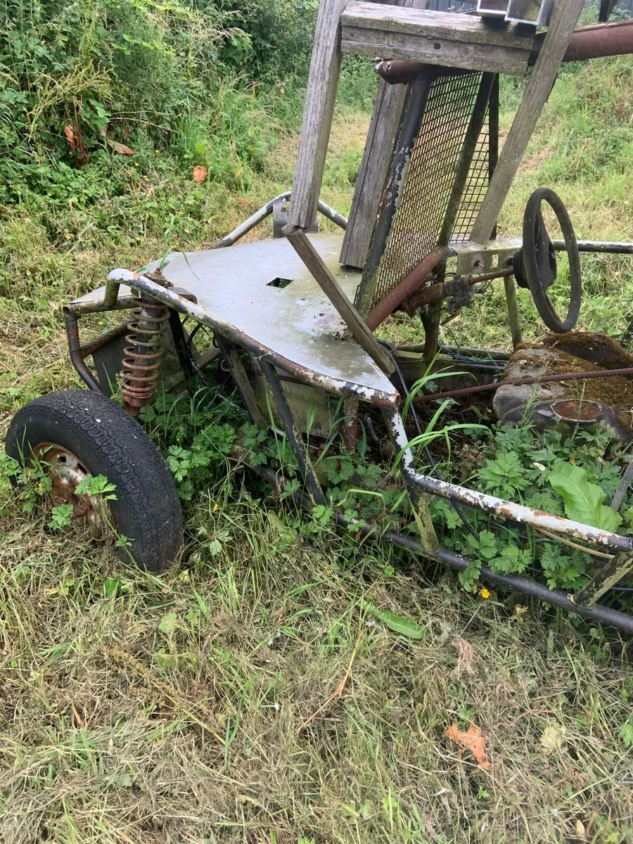 Buggy - Image 2