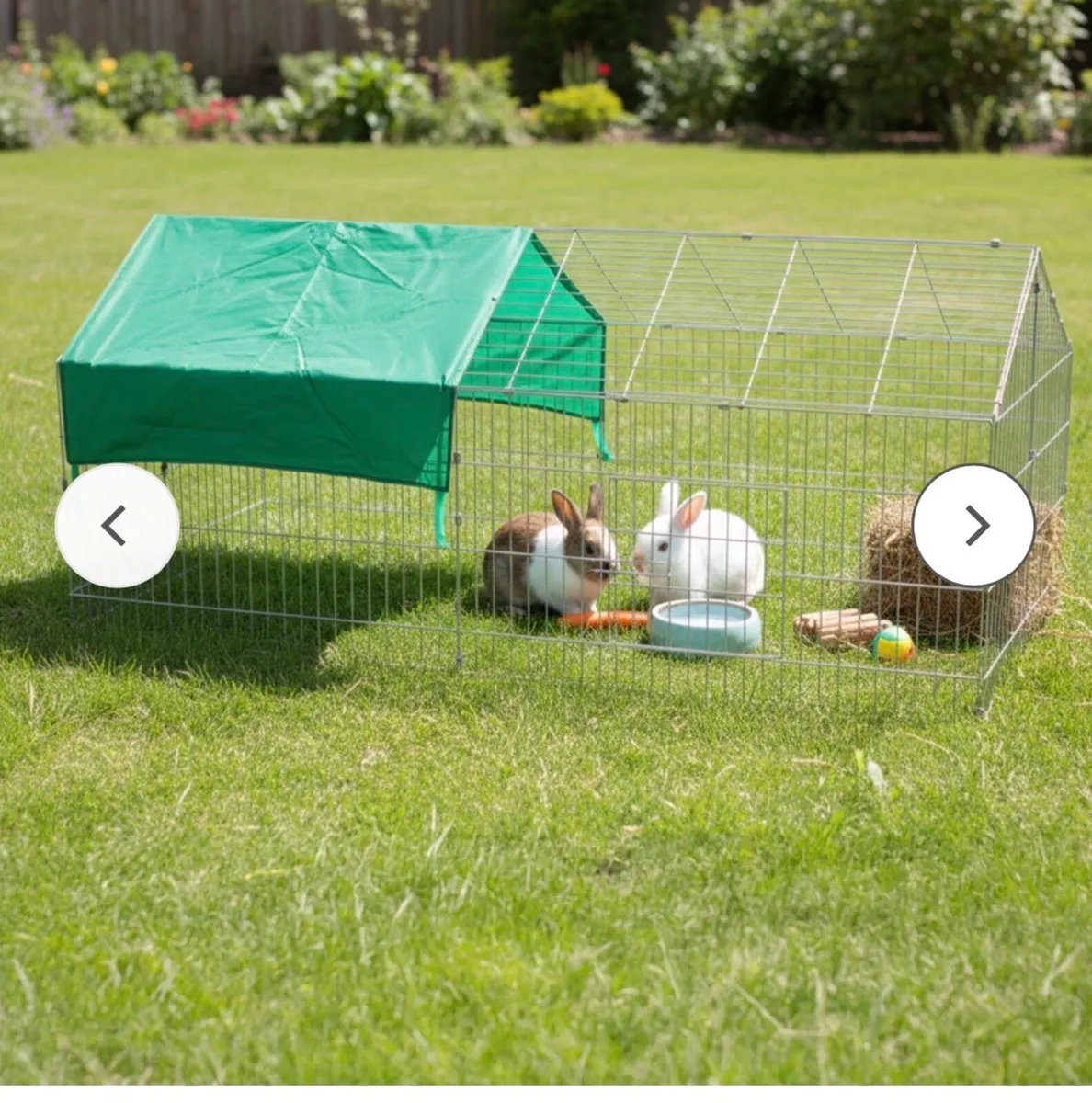 Rabbit Enclosure - Image 2