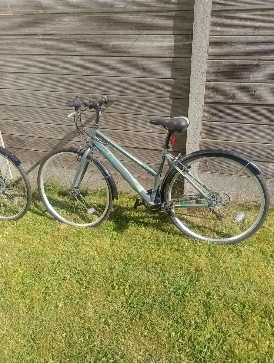 Bicycles - Image 4