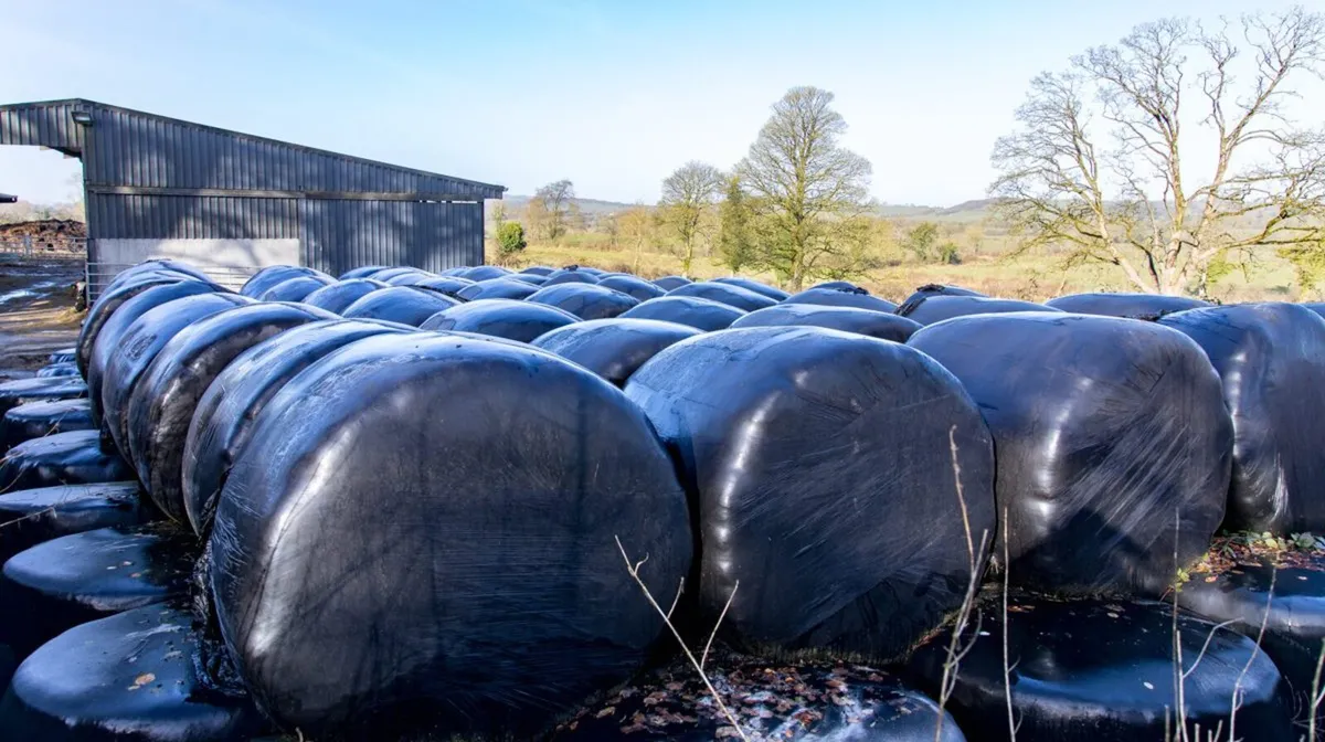 Free .... free....48 round bales takeaway......