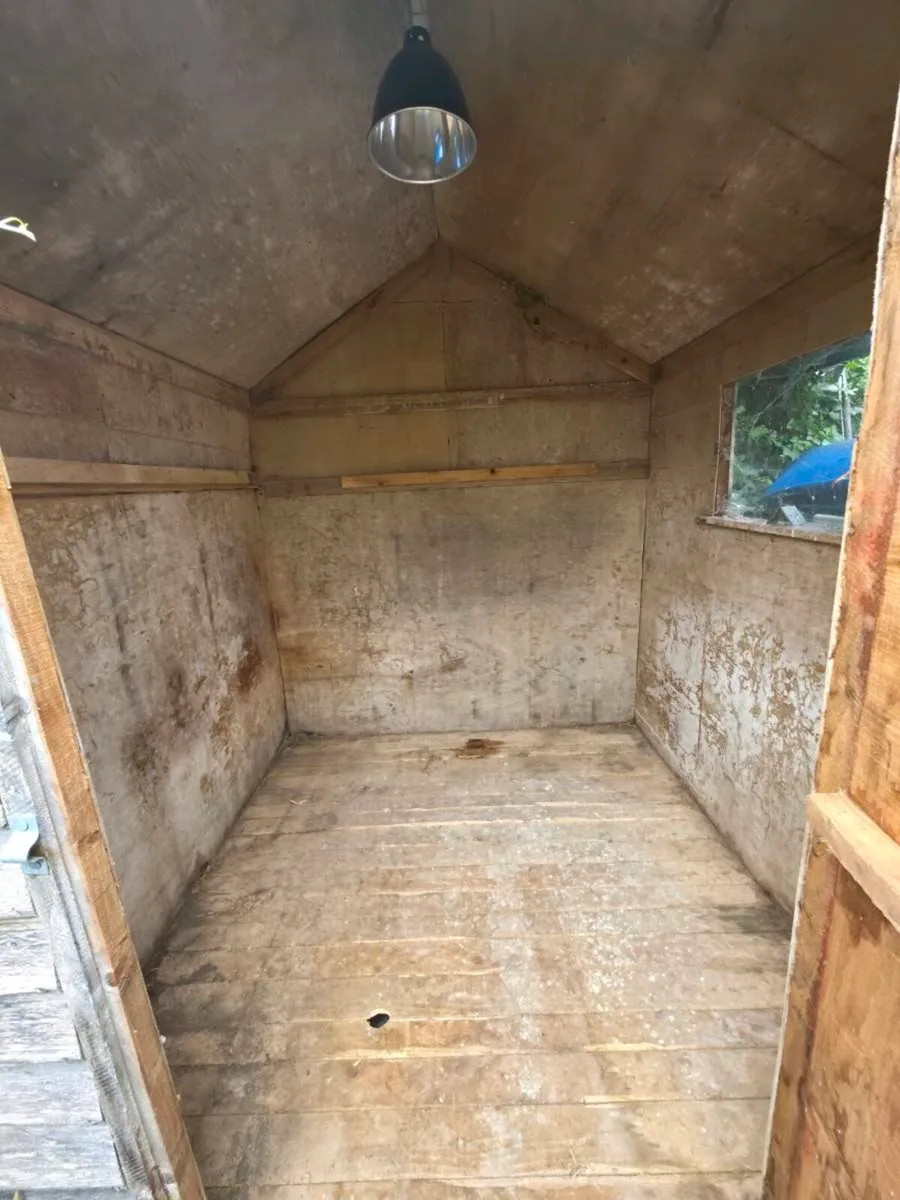 Shed - Image 2