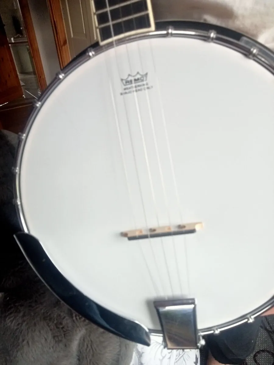 Banjo - Image 4