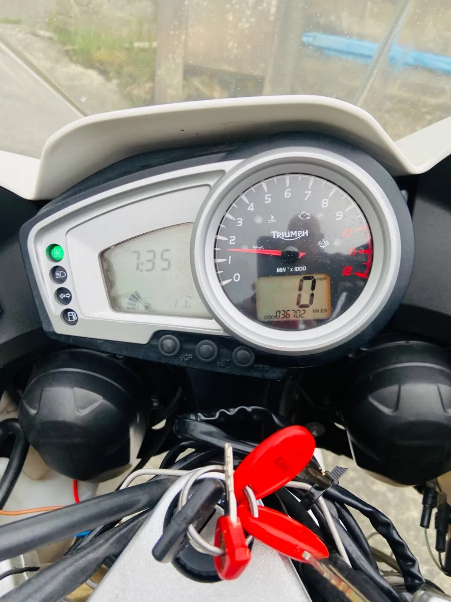 Triumph tiger 1050 - Image 2